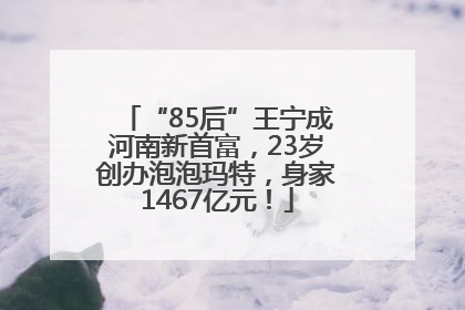 “85后”王宁成河南新首富，23岁创办泡泡玛特，身家1467亿元！