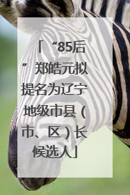 “85后”郑皓元拟提名为辽宁地级市县（市、区）长候选人