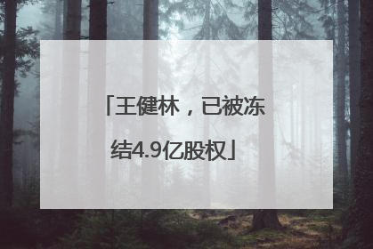 王健林，已被冻结4.9亿股权