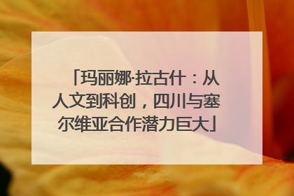 玛丽娜·拉古什：从人文到科创，四川与塞尔维亚合作潜力巨大