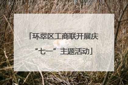 环翠区工商联开展庆“七一”主题活动