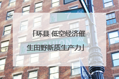 环县 低空经济催生田野新质生产力