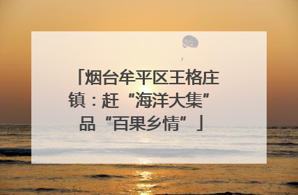 烟台牟平区王格庄镇：赶“海洋大集” 品“百果乡情”