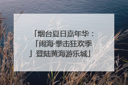 烟台夏日嘉年华：「闹海·拳击狂欢季」登陆黄海游乐城