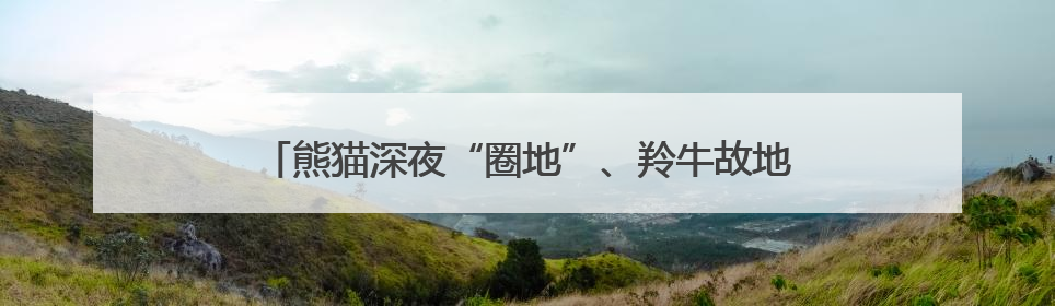 熊猫深夜“圈地”、羚牛故地重游 四川崇州红外相机定格近20种珍稀动物呆萌瞬间