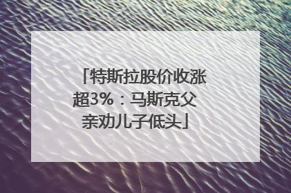 特斯拉股价收涨超3%：马斯克父亲劝儿子低头