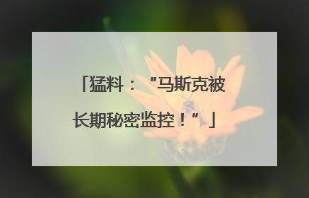 猛料：“马斯克被长期秘密监控！”