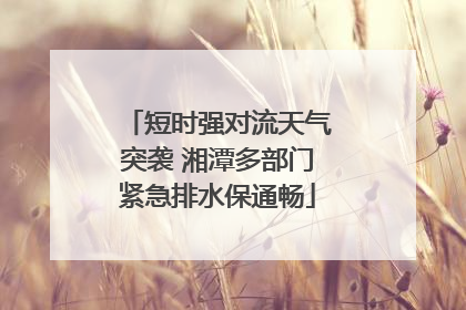 短时强对流天气突袭 湘潭多部门紧急排水保通畅