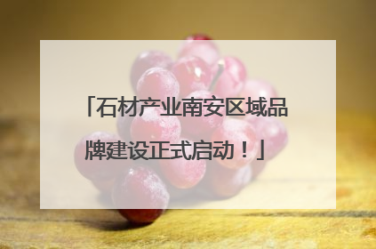 石材产业南安区域品牌建设正式启动！