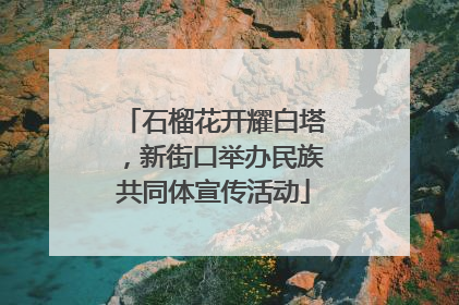 石榴花开耀白塔，新街口举办民族共同体宣传活动