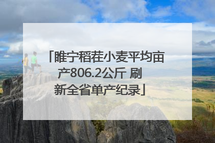 睢宁稻茬小麦平均亩产806.2公斤 刷新全省单产纪录
