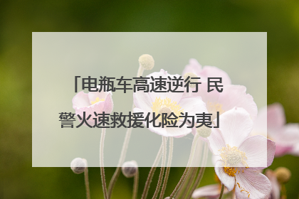 电瓶车高速逆行 民警火速救援化险为夷