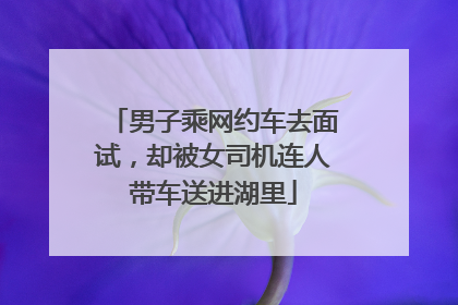 男子乘网约车去面试，却被女司机连人带车送进湖里