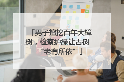 男子擅挖百年大樟树，检察护绿让古树“老有所依”