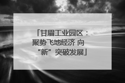 甘眉工业园区：聚势飞地经济 向“新”突破发展