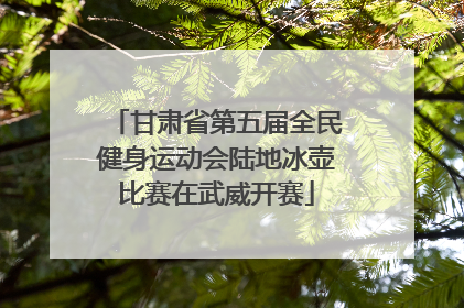 甘肃省第五届全民健身运动会陆地冰壶比赛在武威开赛