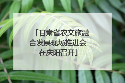甘肃省农文旅融合发展现场推进会在庆阳召开
