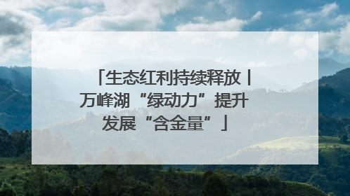 生态红利持续释放丨万峰湖“绿动力”提升发展“含金量”