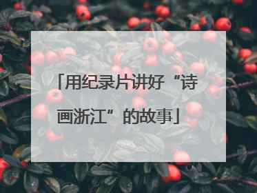 用纪录片讲好“诗画浙江”的故事