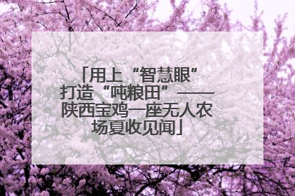 用上“智慧眼” 打造“吨粮田”——陕西宝鸡一座无人农场夏收见闻