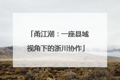 甬江潮：一座县域视角下的浙川协作