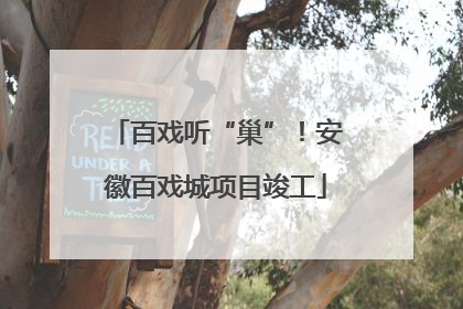 百戏听“巢”！安徽百戏城项目竣工