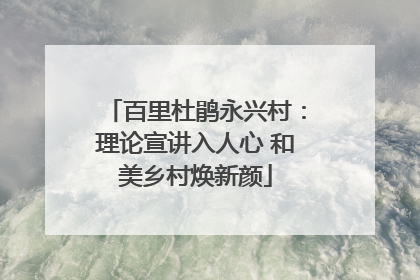 百里杜鹃永兴村：理论宣讲入人心 和美乡村焕新颜