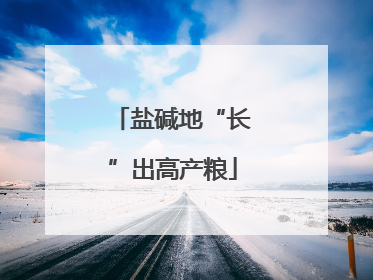 盐碱地“长”出高产粮