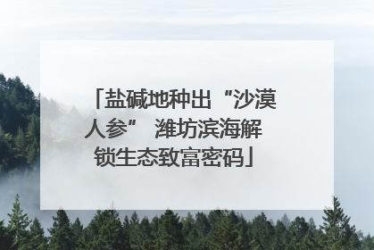 盐碱地种出“沙漠人参” 潍坊滨海解锁生态致富密码