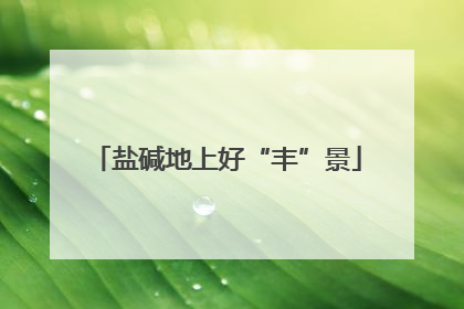 盐碱地上好“丰”景