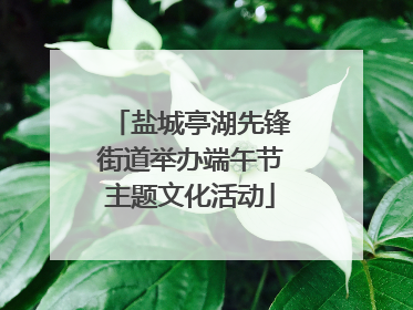 盐城亭湖先锋街道举办端午节主题文化活动