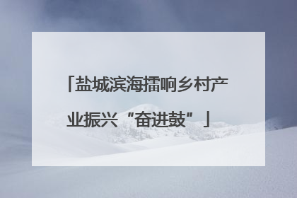 盐城滨海擂响乡村产业振兴“奋进鼓”
