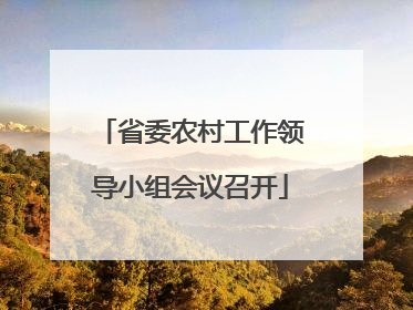 省委农村工作领导小组会议召开