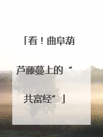 看！曲阜葫芦藤蔓上的“共富经”