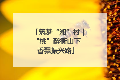 筑梦“湘”村｜“桃”醉衡山下 香飘振兴路