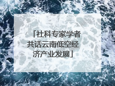 社科专家学者共话云南低空经济产业发展