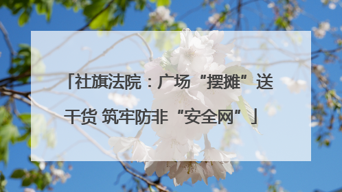 社旗法院：广场“摆摊”送干货 筑牢防非“安全网”