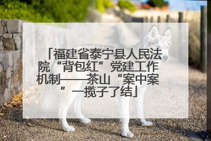 福建省泰宁县人民法院“背包红”党建工作机制——茶山“案中案”一揽子了结