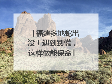 福建多地蛇出没！遇到别慌，这样做能保命