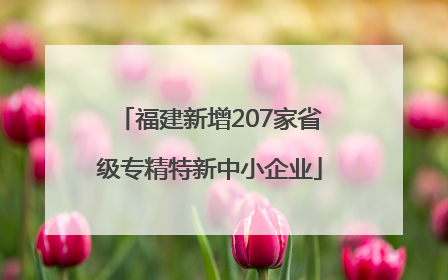 福建新增207家省级专精特新中小企业