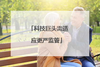 科技巨头需适应更严监管
