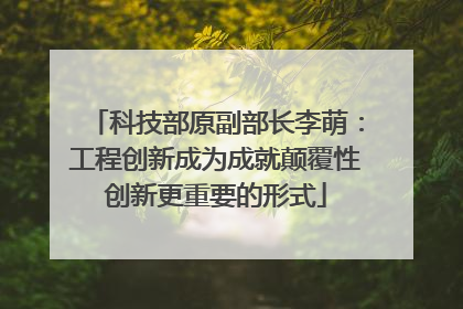 科技部原副部长李萌：工程创新成为成就颠覆性创新更重要的形式