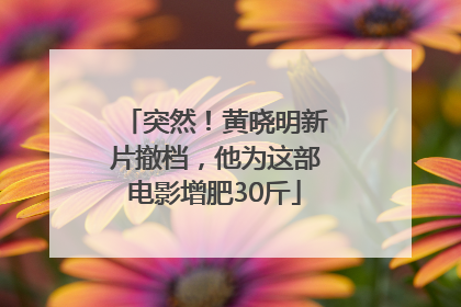 突然！黄晓明新片撤档，他为这部电影增肥30斤