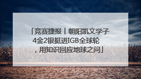竞赛捷报丨朝阳凯文学子4金2银挺进IGB全球轮，用知识回应地球之问