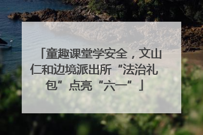 童趣课堂学安全，文山仁和边境派出所“法治礼包”点亮“六一”