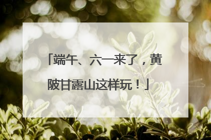 端午、六一来了，黄陂甘露山这样玩！