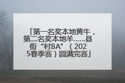 第一名奖本地黄牛，第二名奖本地羊……县街“村BA”（2025春季赛）圆满完赛