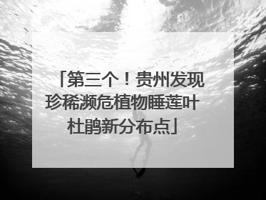 第三个！贵州发现珍稀濒危植物睡莲叶杜鹃新分布点