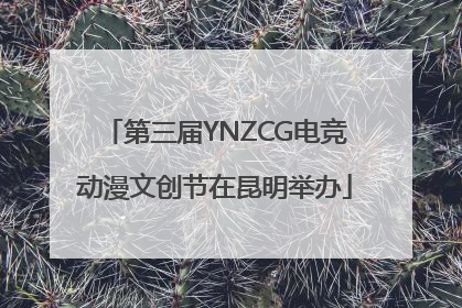 第三届YNZCG电竞动漫文创节在昆明举办