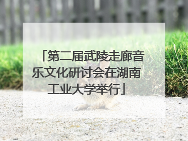 第二届武陵走廊音乐文化研讨会在湖南工业大学举行
